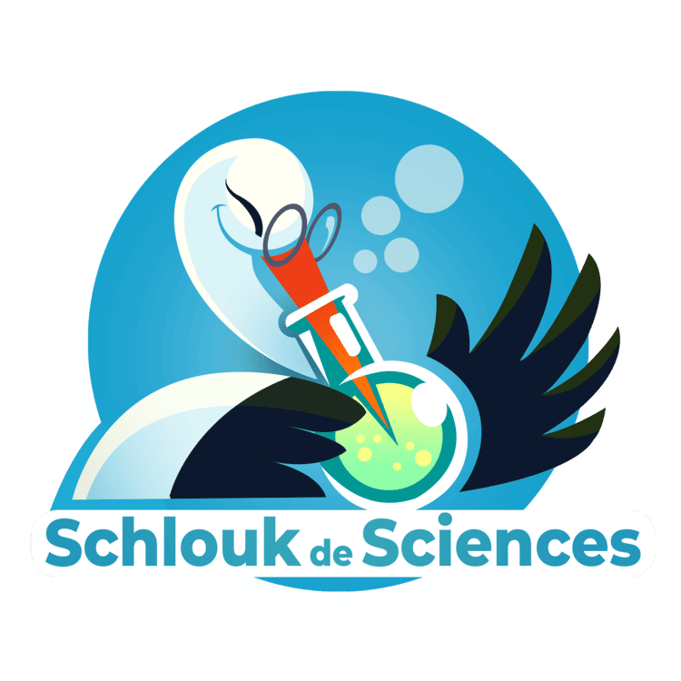 Schlouk de Sciences
